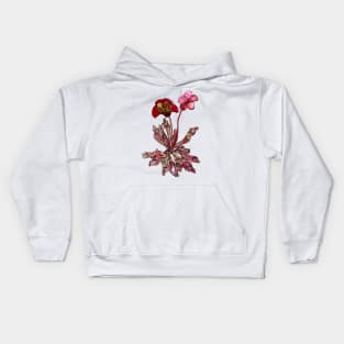 Pitcher Plant, Sarracenia purpurea Kids Hoodie